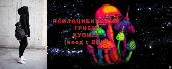 ГАЛЛЮЦИНОГЕННЫЕ ГРИБЫ Абдулино