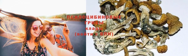 шишки Абинск
