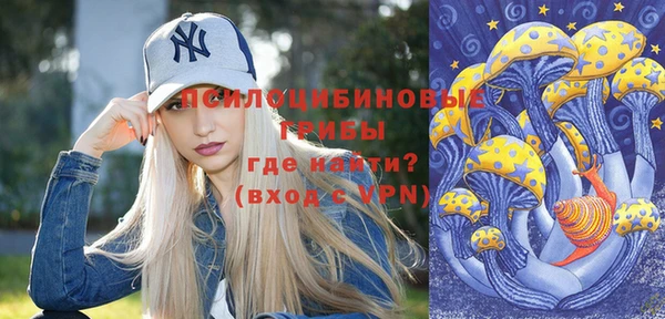 шишки Абинск
