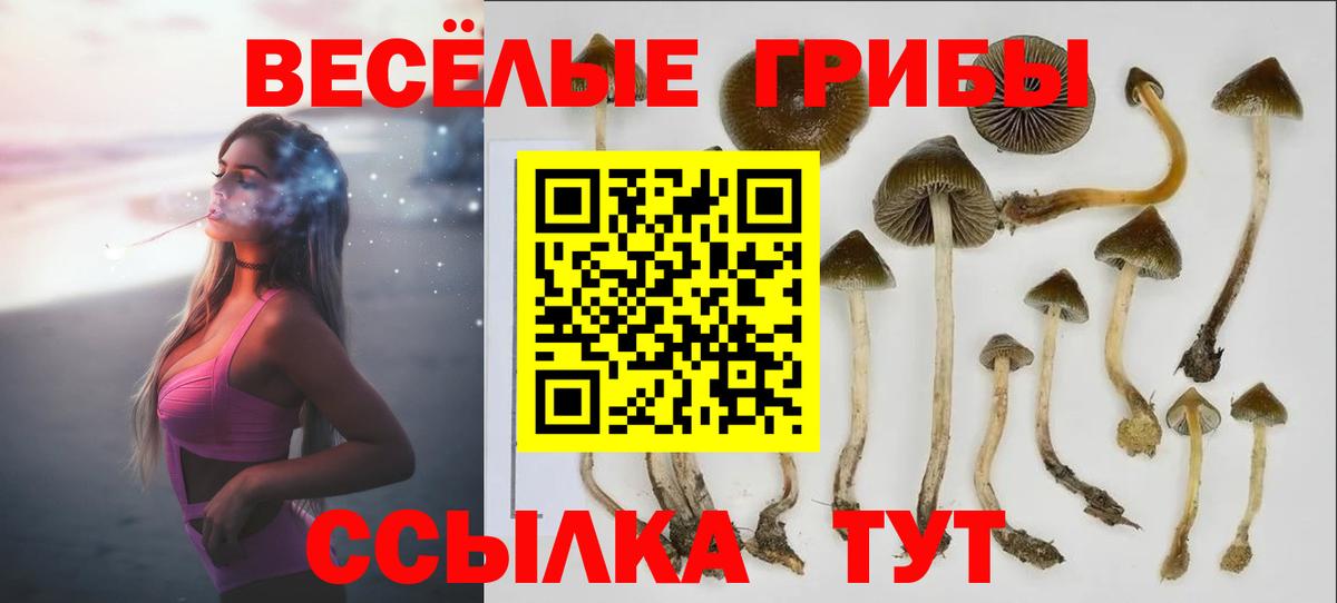 Галлюциногенные грибы мицелий  Псилоцибиновые грибы Cubensis  Тюмень  Вход с VPN 