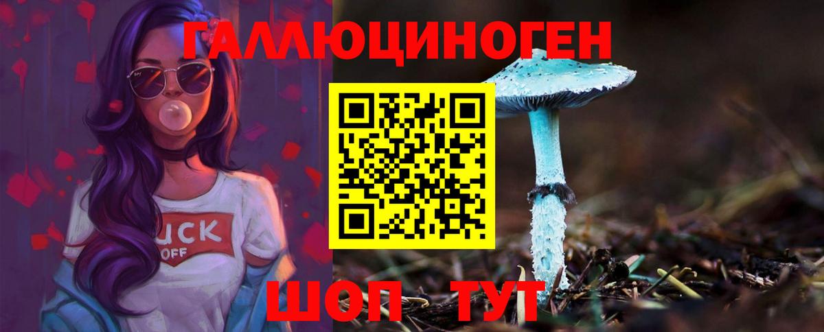 Псилоцибиновые грибы Cubensis Тюмень